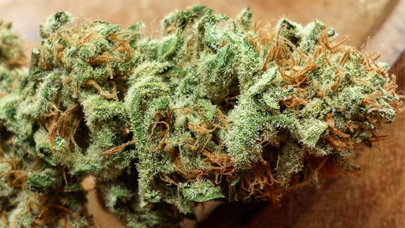 How to Dry, Cure and Store Cannabis Flowers