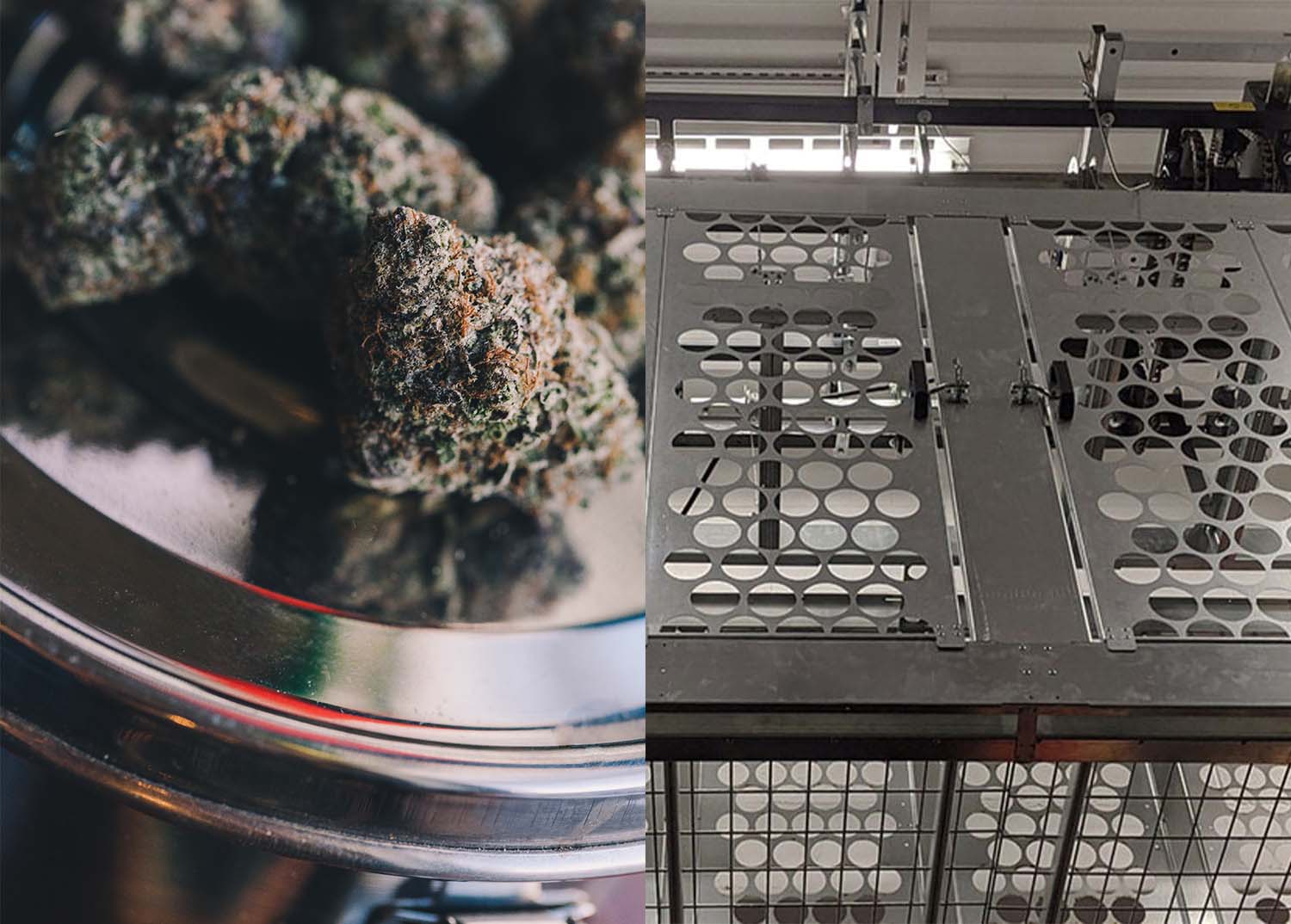Tips for Achieving the Best Commercial Cannabis Storage Setup