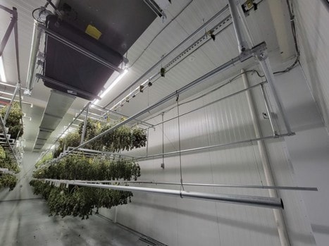 Unlocking the Power of Drying: Next Technological Advancement in the Harvesting Process