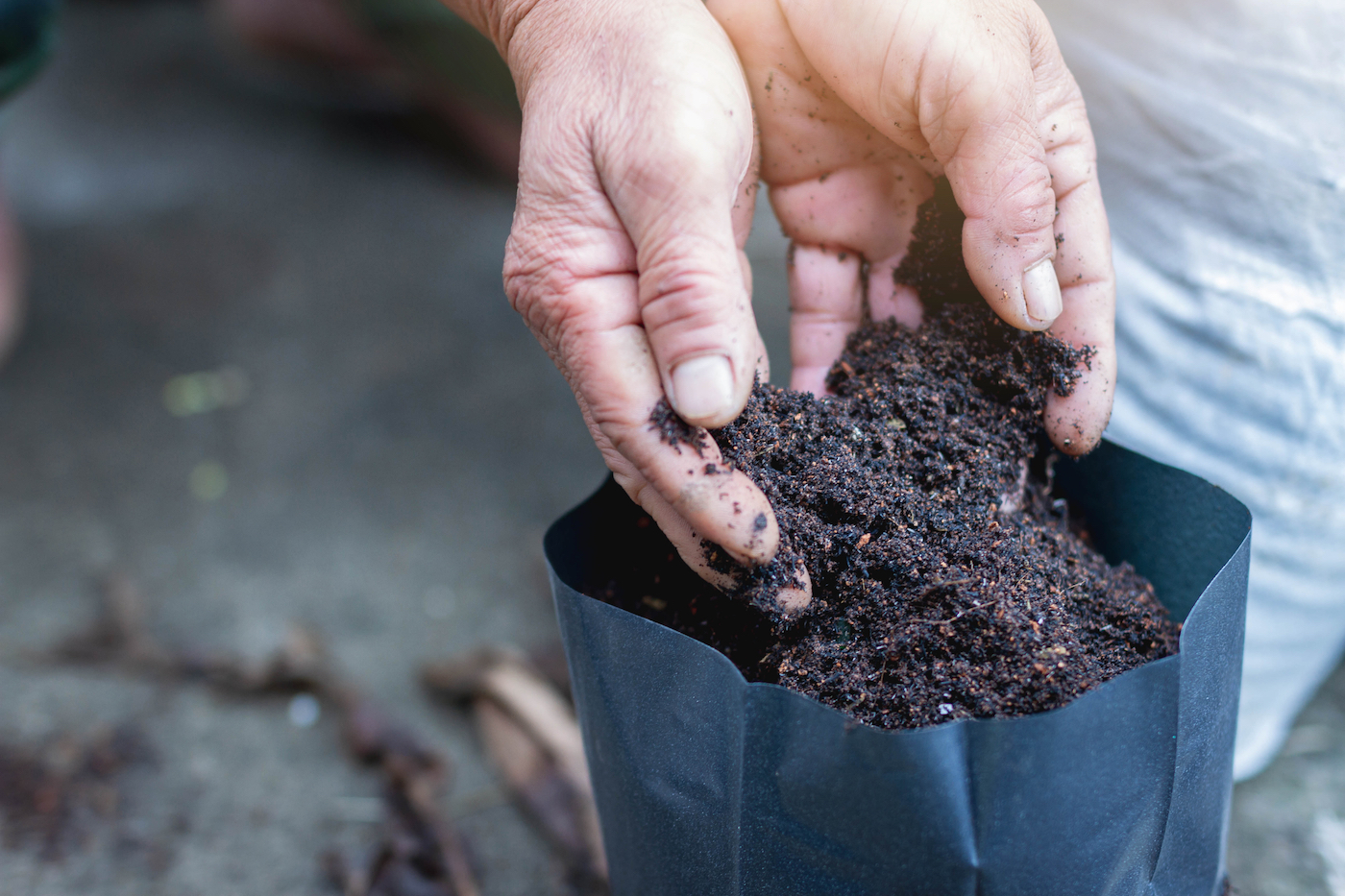 7 Soil Test Kits for Growers of All Types