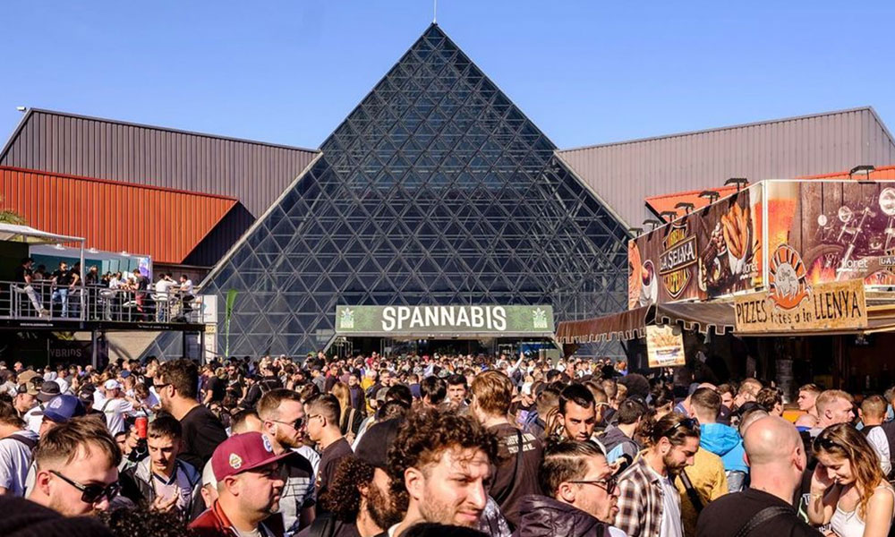 Top Cannabis Events to Attend in 2024