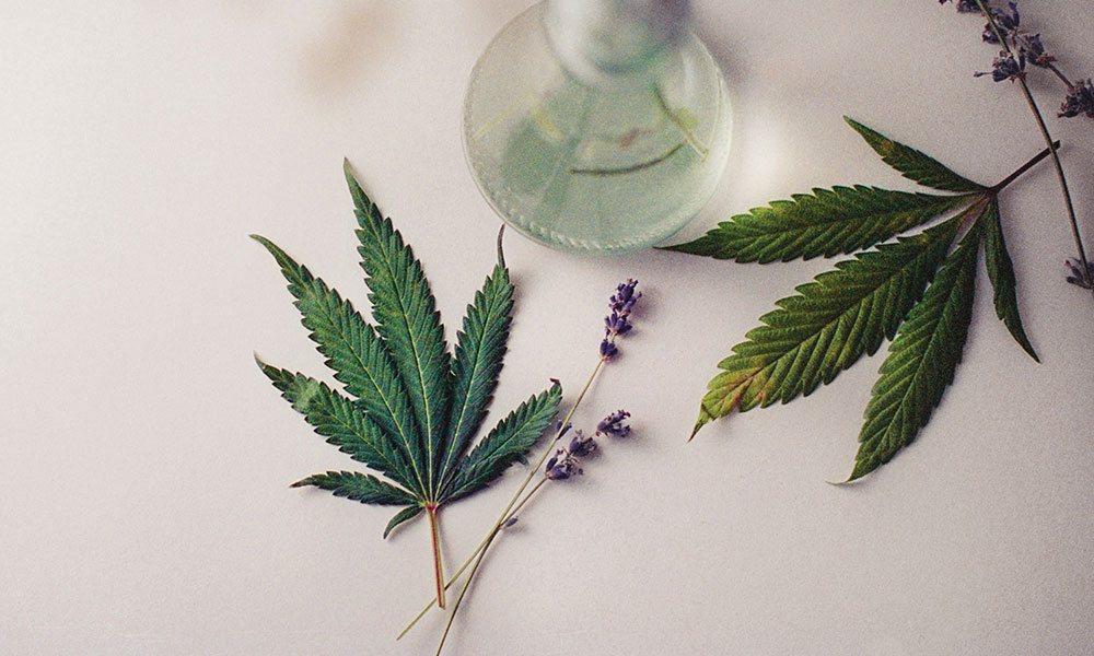 The Cannabis Now Guide to Pairing Herbs with Your Herb