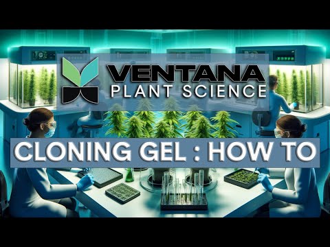 Cutting-Edge Cloning: VPS Cloning Gel’s New Pathogen-Free Approach