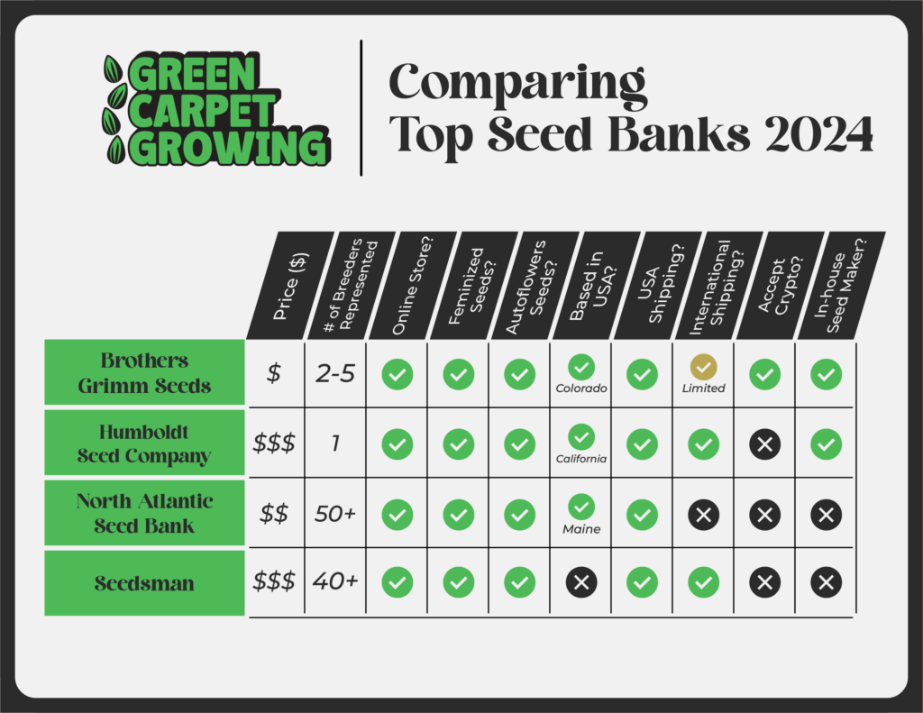 Ultimate Guide to the best cannabis seed banks in 2024