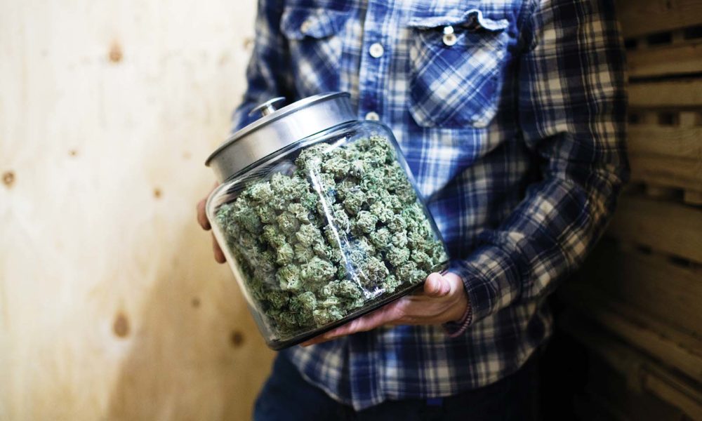 You’ve Grown It, Now Own It: How to Master Drying & Curing Cannabis