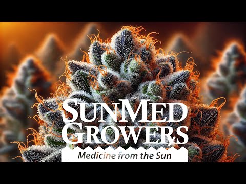 Behind the curtain at the largest Cannabis GreenHouse on the Eastern Seaboard!