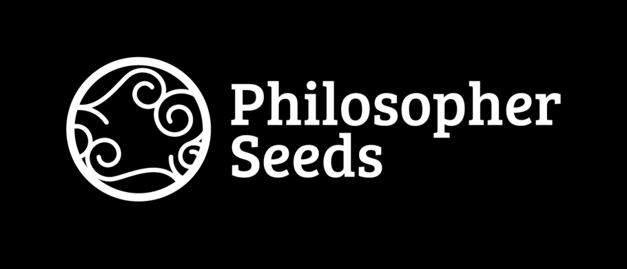 Hardcore Gelato and AmnesiaZ by Philosopher Seeds, two champions within your reach