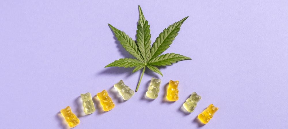 CBD Gummies: what are they?